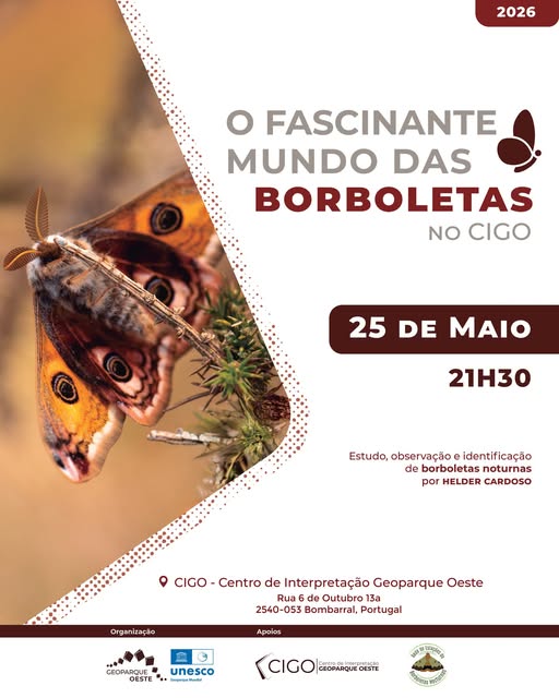 O Fascinante Mundo das Borboletas Noturnas